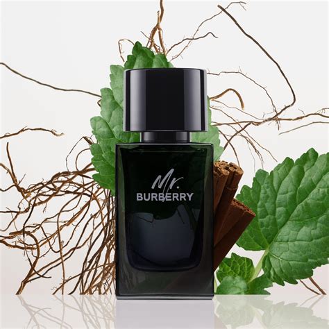 mr burberry eau de parfum spray|where to buy mr Burberry.